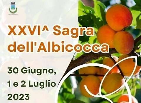 Rotondella: tutto pronto per la 26esima edizione della Sagra dell’Albicocca