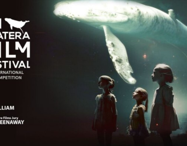 Torna il Matera Film Festival: al via la quarta edizione con ospiti dal respiro internazionale