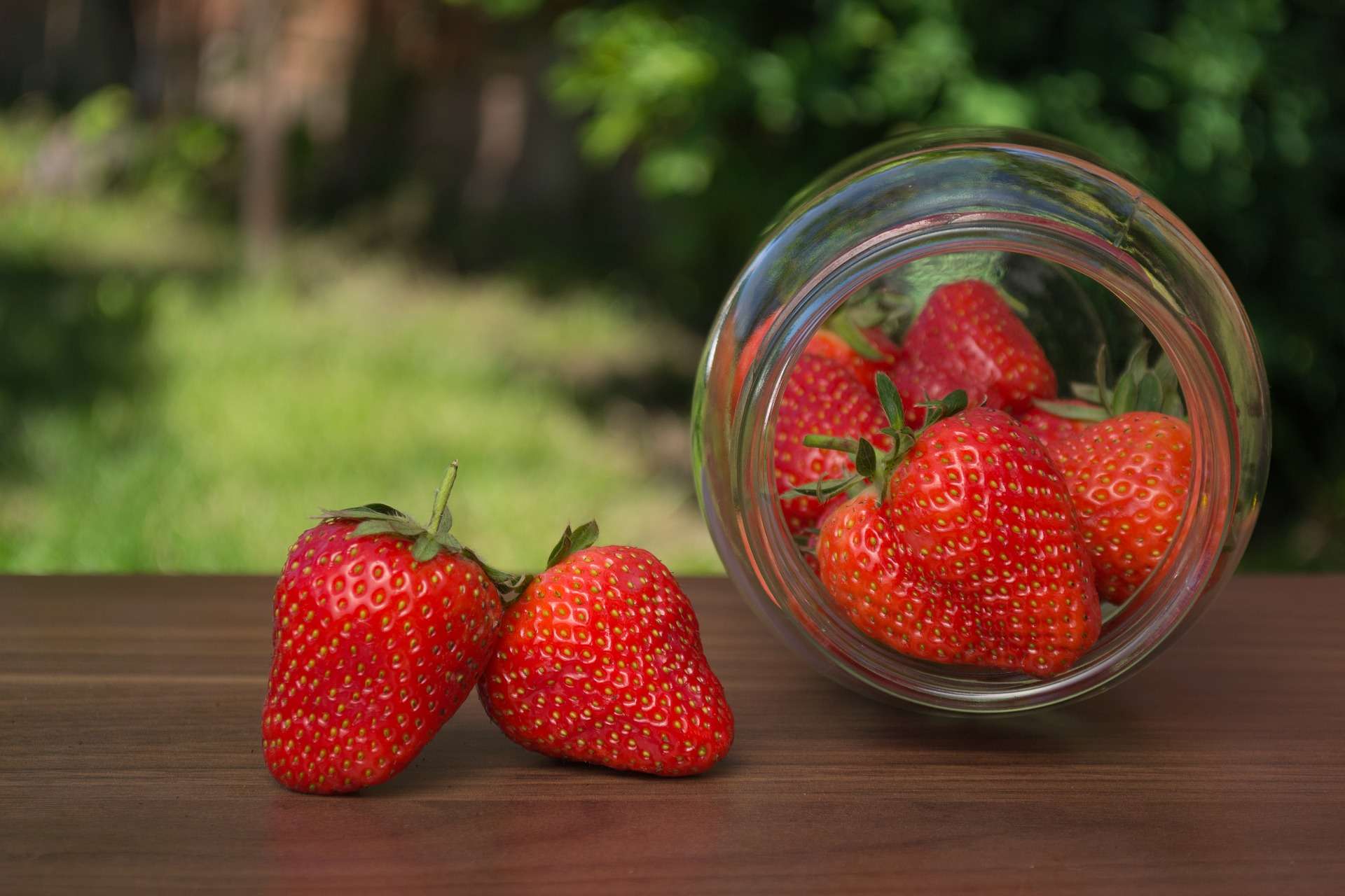 La Basilicata arriva a Sanremo con “la fragola che vuol fare il pomodoro”