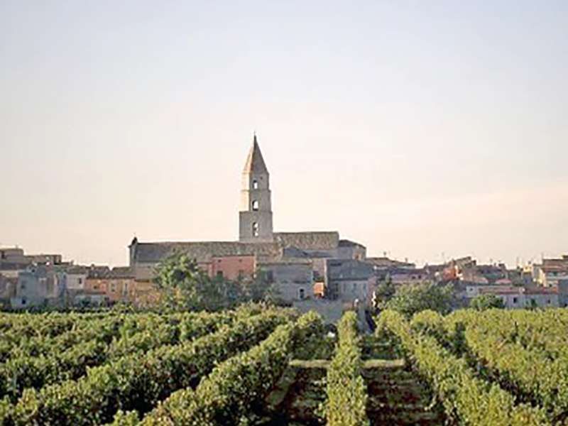 Venosa e l'Aglianico