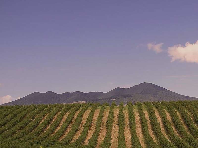 Rionero in Vulture e l'Aglianico